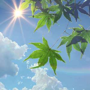 一级A片四川少妇大白奶
