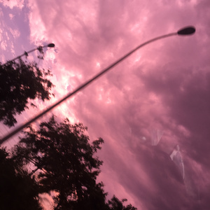 一级A片四川少妇大白奶
