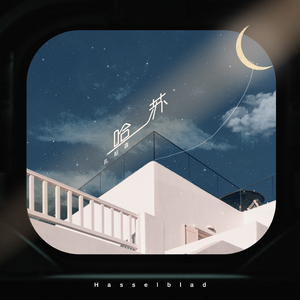 一级A片四川少妇大白奶
